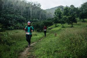 BIB: 
                            <button type="button" onclick="openModal(26448927)" class="btn btn-primary btn-sm float-right btn-popup" data-toggle="modal" data-target=".modal-high-quality">
                        <i class="fas fa-shopping-cart"></i> Add to Cart
                    </button>
                                            <button type="button" onclick="isThisMe(26448927, true)" class="btn btn-success btn-sm float-right btn-popup btn-isme hidden" data-toggle="tooltip" data-placement="bottom" title="นี่คือรูปของคุณใช่ไหม คลิกที่นี่เพื่อเอาเข้าอัลบั้ม">
                        <i class="fas fa-plus"></i> Add to album
                    </button>
                    <button type="button" onclick="isThisMe(26448927, false)" class="btn btn-warning btn-sm float-right btn-popup btn-isnotme hidden">
                        <i class="fas fa-ban"></i> Remove from album
                    </button>